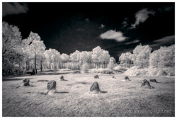 Nine Ladies Stone Circle, Stanton Moor, Derbyshire